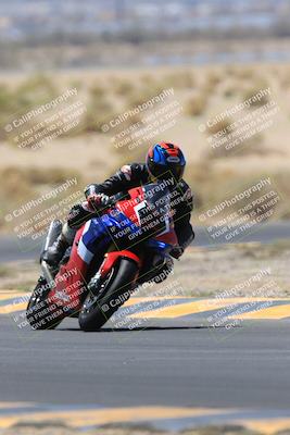 media/May-14-2023-SoCal Trackdays (Sun) [[024eb53b40]]/Turn 5 Tree of Life (1125am)/